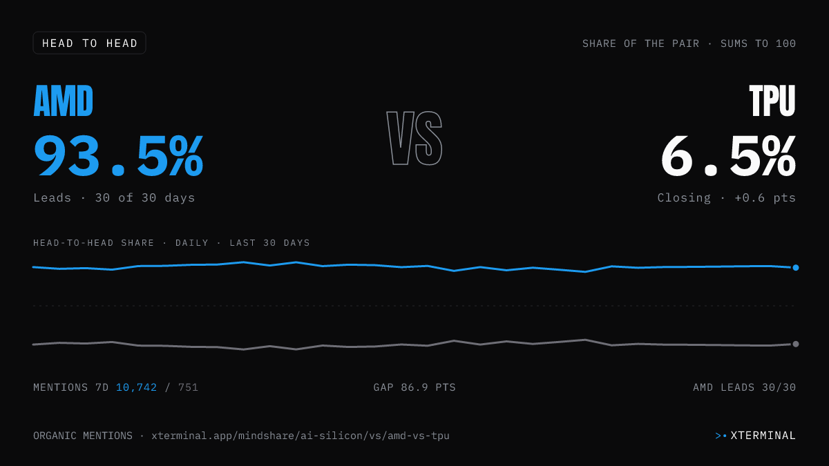 AMD vs TPU head-to-head share on X